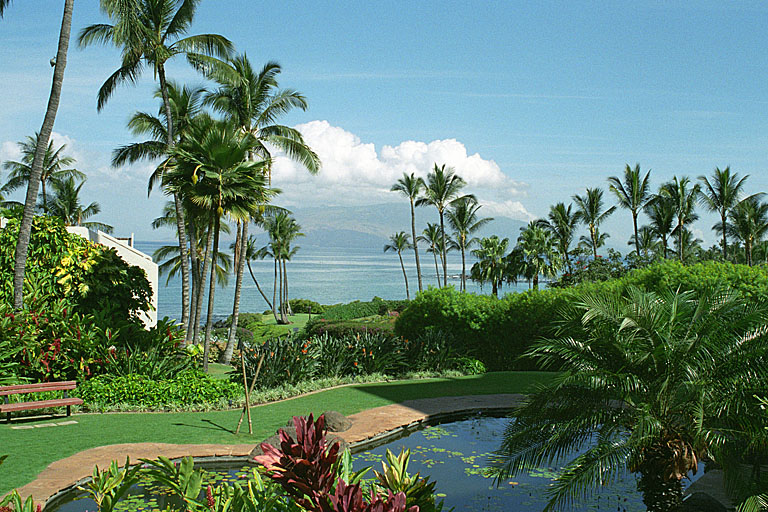 One of the many sitting gardens with pools.