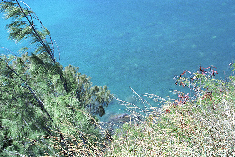 View of the coral and rocks under the water.
