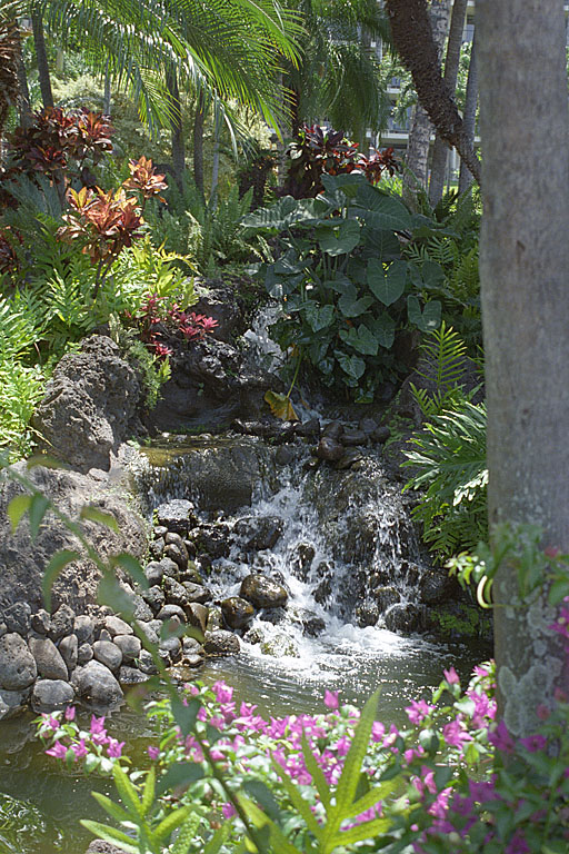 Beautiful water falls.