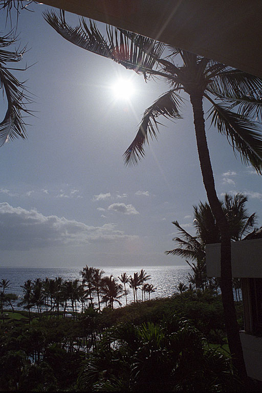 The bright Hawaiian sun lighting up the afternoon sky.