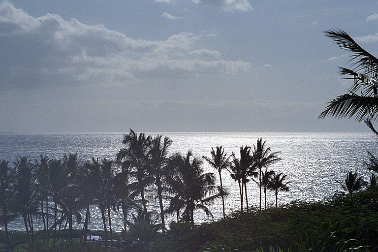 Sun reflection on the ocean.