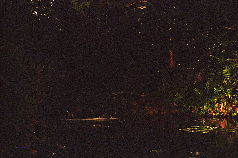 The waterfall pool at night.