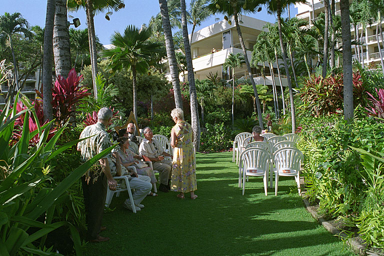 The wedding lawn.