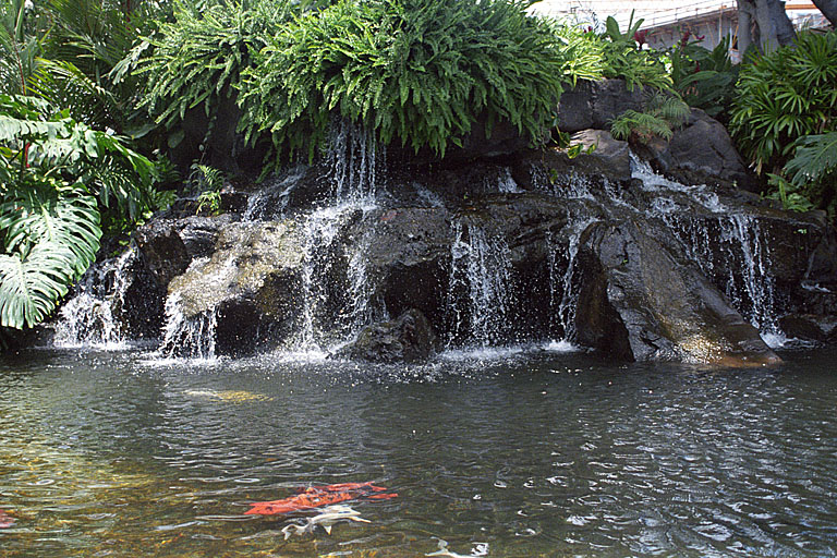 The coi pond in front of the Mariott.  Slow motion to catch the water drops.