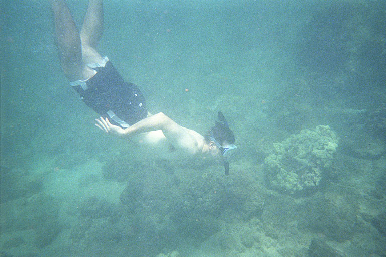 Craig shows off his diving form.