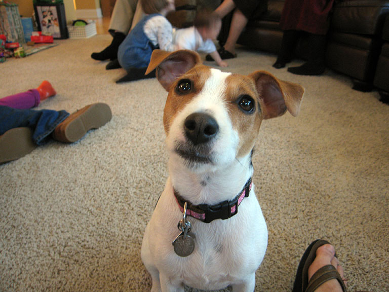 Taylor looks for a handout.