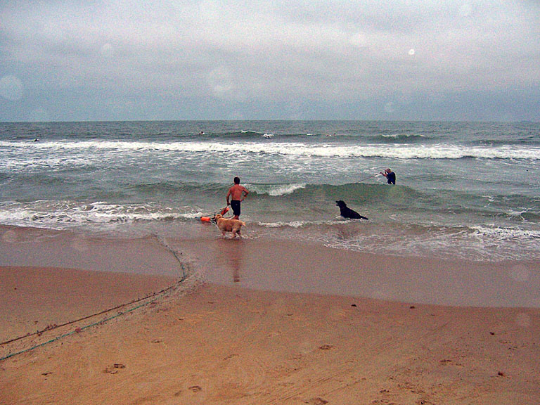 The two fisherman and their dogs set out their driftnet.
