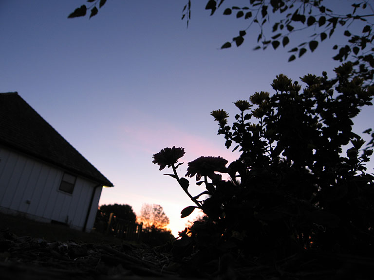 We drove off into the sunset, and arrived for the sunrise.