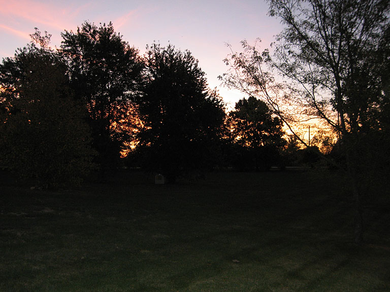 Clouds streaked with pink, and trees burn with the sun's morning light.