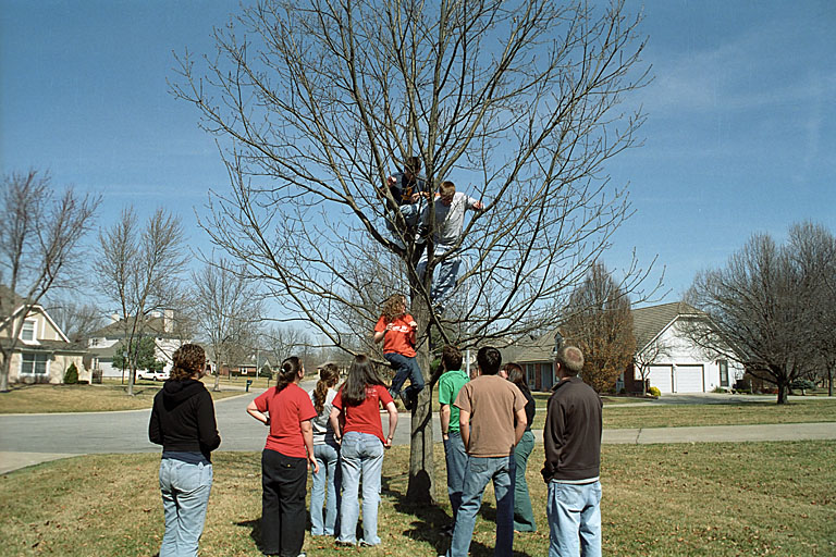 Kristi, Dan and Abe are tree climbing foo's. Everyone else reaches for their cell phones to call the ambulance.