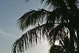It was a gorgeous morning, and the birds were singing in the trees.