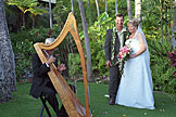 Alan and Jodie by the harpist.