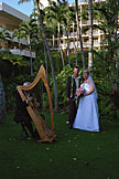 Alan and Jodie with the harpist.