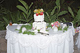 The wedding cake.