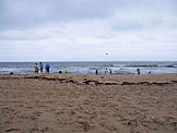 Everyone hanging out at the beach.  Erica throws the football to Dan.