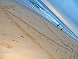 Abe checks out Kyann's giant name she carved into the sand.