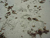 Beth and Kyann play in the sand while the guys are out trying to surf or do their daily run.