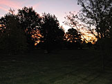 Clouds streaked with pink, and trees burn with the sun's morning light.
