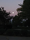 The harvest moon, sets after a long nights work.