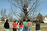 Kristi, Dan, and Abe climb up the tree while everyone else takes wagers on who falls first.