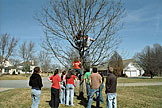 Kristi, Dan and Abe are tree climbing foo's.  Everyone else reaches for their cell phones to call the ambulance.