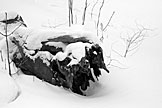A fallen tree gathers snow.  Artistic Grayscale #8.