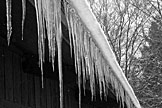Icicles.  Artistic Grayscale #12.